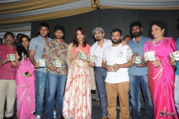 Naalo Okadu Movie Audio Launch